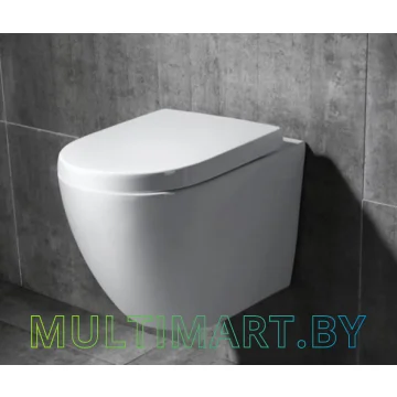 Унитаз Calani Loyd (CAL-C0004) картинка 4